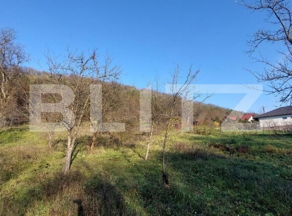 Teren de vânzare Corunca - 145996TV | BLITZ Târgu Mureș | Poza1