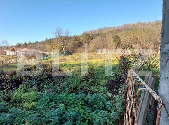 Teren de vânzare Corunca - 145996TV | BLITZ Târgu Mureș | Poza2