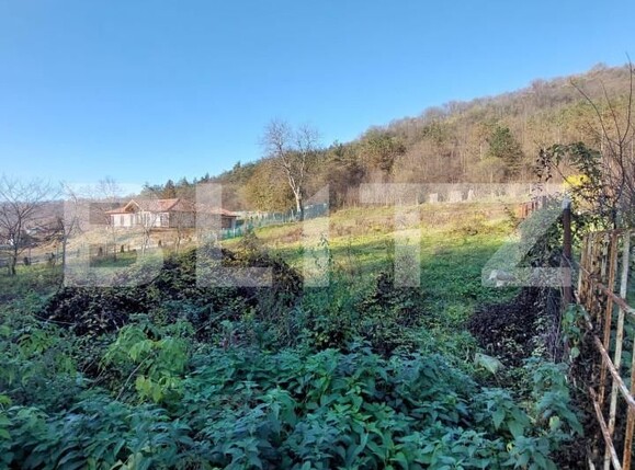 Teren de vânzare Corunca - 145996TV | BLITZ Târgu Mureș | Poza3