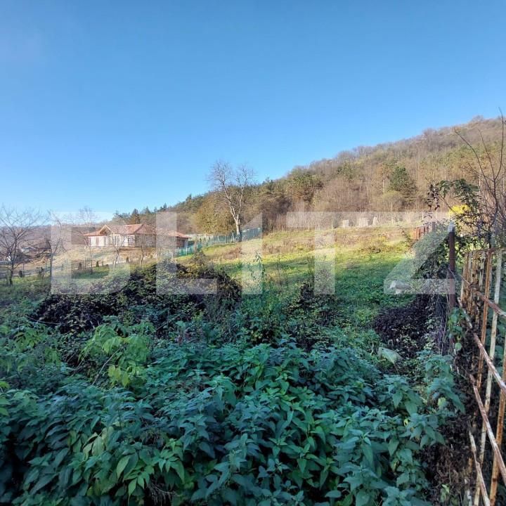 Teren de vânzare Corunca - 145996TV | BLITZ Târgu Mureș | Poza3