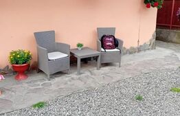 2 Case pe o curte comuna, Sangeorgiu de Mures