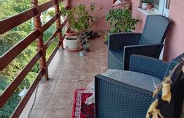 2 Case pe o curte comuna, Sangeorgiu de Mures