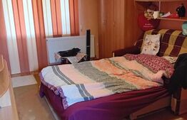 2 Case pe o curte comuna, Sangeorgiu de Mures