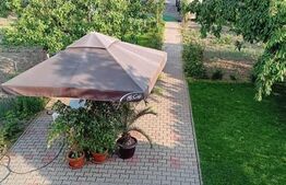 2 Case pe o curte comuna, Sangeorgiu de Mures