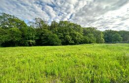 Oportunitate !! Teren intravilan , 2886 mp Corunca 