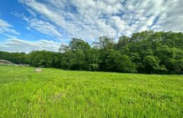 Oportunitate !! Teren intravilan , 2886 mp Corunca 