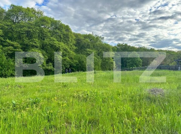 Teren de vânzare Corunca - 146001TV | BLITZ Târgu Mureș | Poza3