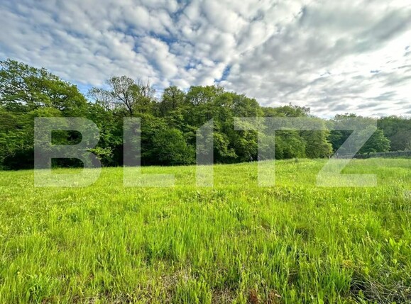 Teren de vânzare Corunca - 146001TV | BLITZ Târgu Mureș | Poza1