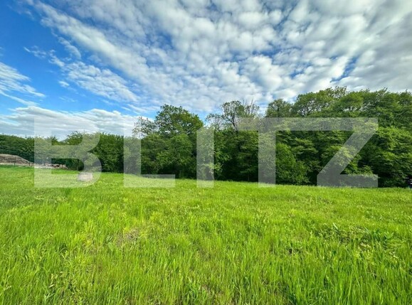 Teren de vânzare Corunca - 146001TV | BLITZ Târgu Mureș | Poza2