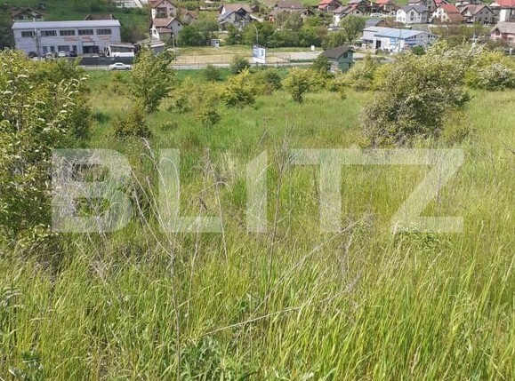 Teren de vânzare Corunca - 146002TV | BLITZ Târgu Mureș | Poza2