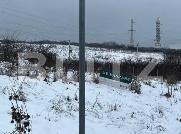 Teren de vânzare Corunca - 146006TV | BLITZ Târgu Mureș | Poza2