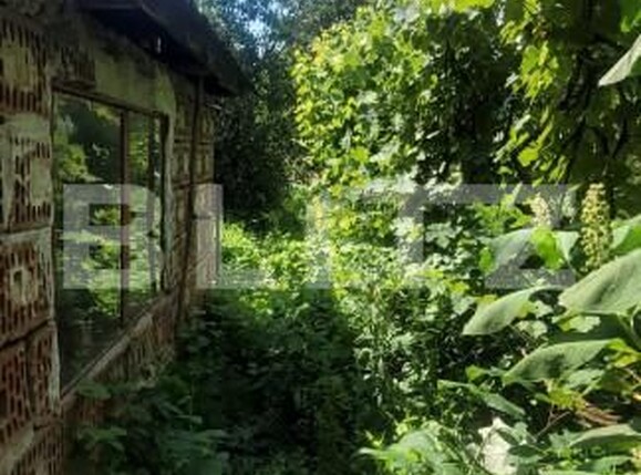 Casa de vânzare 7 camere Sâncraiu de Mureș - 146015CV | BLITZ Târgu Mureș | Poza9