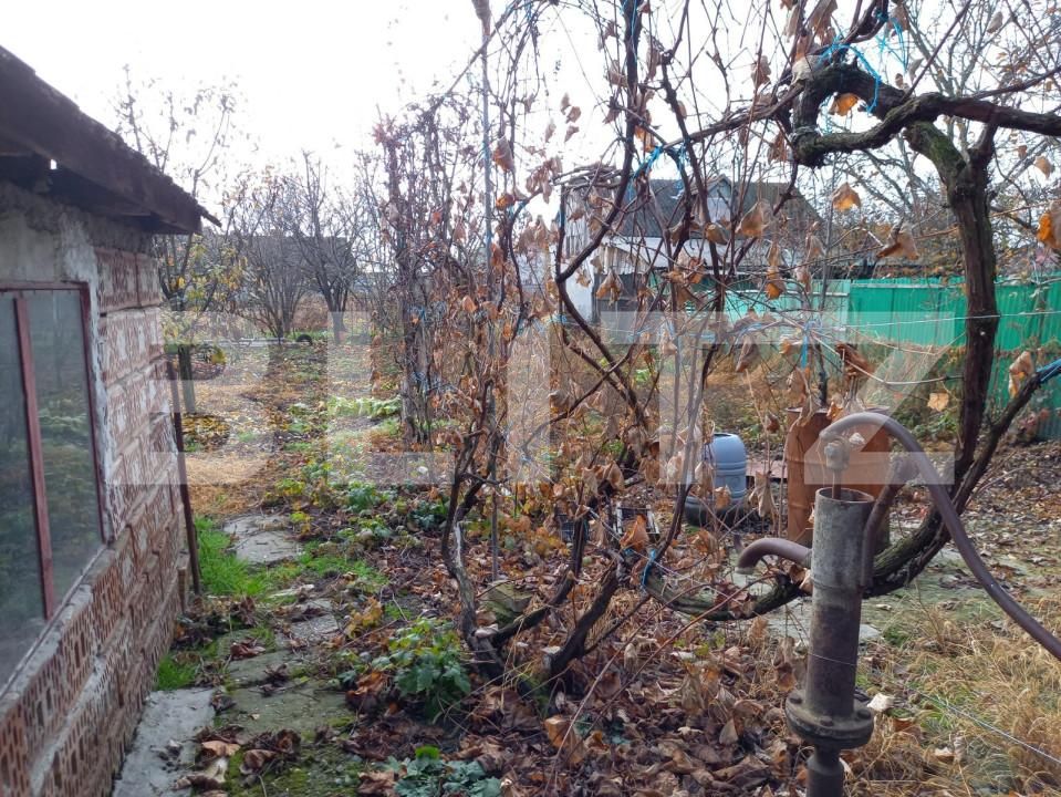 Casa de vânzare 7 camere Sâncraiu de Mureș - 146015CV | BLITZ Târgu Mureș | Poza6