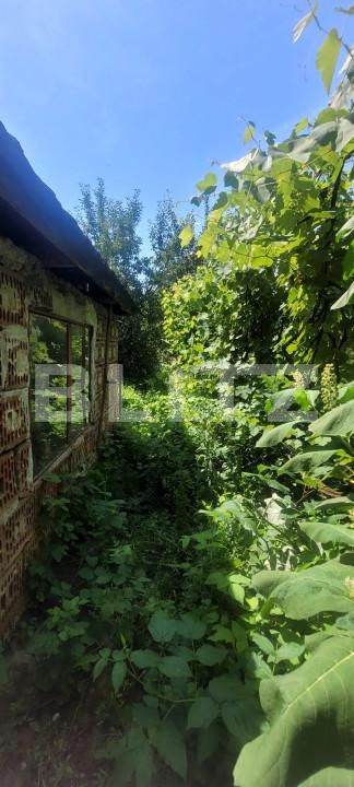 Casa de vânzare 7 camere Sâncraiu de Mureș - 146015CV | BLITZ Târgu Mureș | Poza9