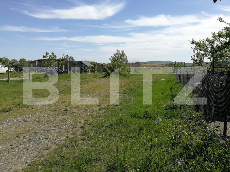 Teren de vânzare Nazna - 148836TV | BLITZ Târgu Mureș | Poza1