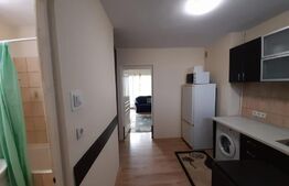 Apartament cu 1 camera, 42 mp, zona 1 Decembrie 1918