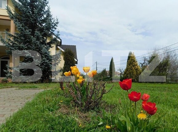 Casa de vânzare 5 camere Sângeorgiu de Mureș - 149397CV | BLITZ Târgu Mureș | Poza11