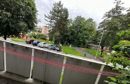 Apartament cu 2 camere, zona Dambu , 40mp