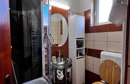 Casa Sangeorgiu, singur in curte, 9 arii teren