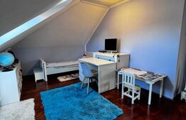 Casa Sangeorgiu, singur in curte, 9 arii teren