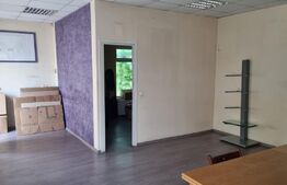 Casa Sangeorgiu, singur in curte, 9 arii teren