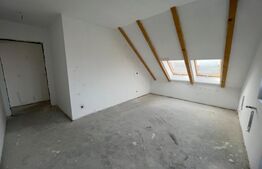 Apartament de 3 camere, decomandat, 110 mp, cartier Unirii