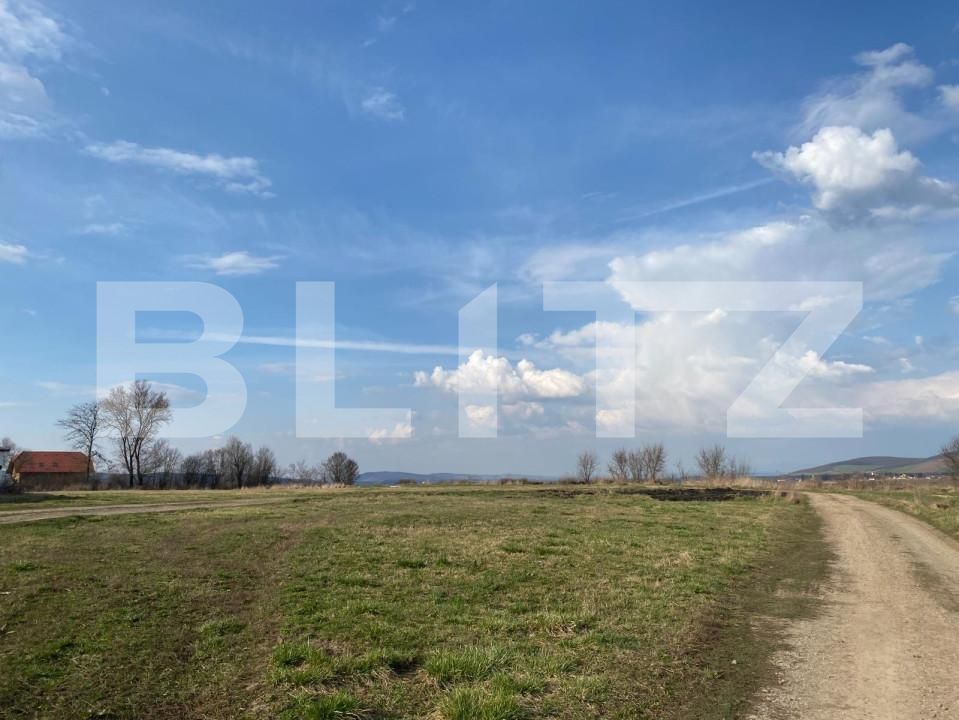 Teren de vânzare Sângeorgiu de Mureș - 149700TV | BLITZ Târgu Mureș | Poza5