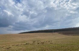 Teren de 45.750 mp, Sângeorgiu de Mures