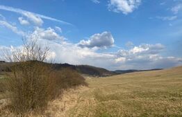 Teren de 45.750 mp, Sângeorgiu de Mures