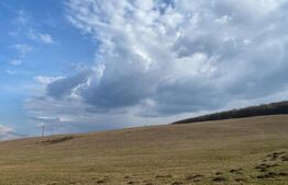 Teren de 45.750 mp, Sângeorgiu de Mures