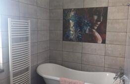 Casa de 7 camere in Sancraiu de Mures, constructie speciala