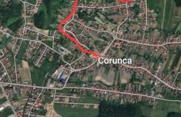 Teren de vanzare Corunca 35Euro/mp
