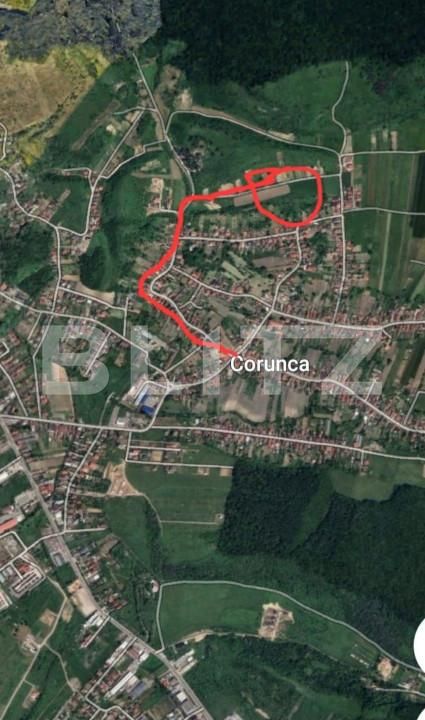 Teren de vânzare Corunca - 150038TV | BLITZ Târgu Mureș | Poza3