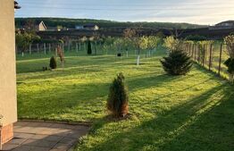 Casă superbă de vânzare, 5800mp teren, Ceauasu de Campie