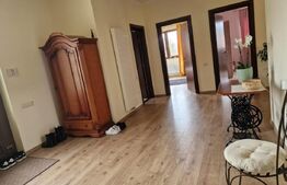 Casă superbă de vânzare, 5800mp teren, Ceauasu de Campie