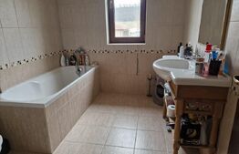 Casă superbă de vânzare, 5800mp teren, Ceauasu de Campie