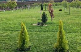 Casă superbă de vânzare, 5800mp teren, Ceauasu de Campie