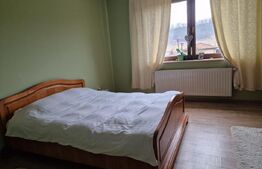 Casă superbă de vânzare, 5800mp teren, Ceauasu de Campie