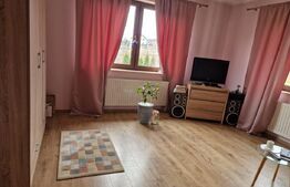 Casă superbă de vânzare, 5800mp teren, Ceauasu de Campie