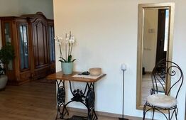 Casă superbă de vânzare, 5800mp teren, Ceauasu de Campie