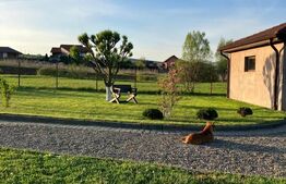 Casă superbă de vânzare, 5800mp teren, Ceauasu de Campie