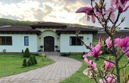 Casă superbă de vânzare, 5800mp teren, Ceauasu de Campie