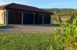 Casă superbă de vânzare, 5800mp teren, Ceauasu de Campie