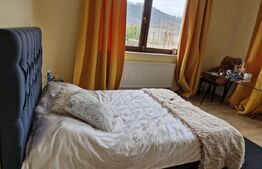 Casă superbă de vânzare, 5800mp teren, Ceauasu de Campie