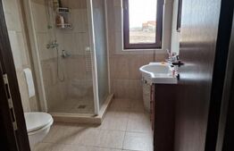 Casă superbă de vânzare, 5800mp teren, Ceauasu de Campie