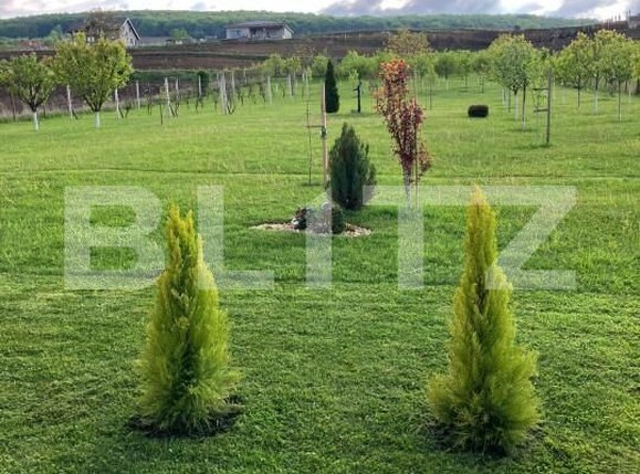 Casa de vânzare 4 camere Ceuasu de Câmpie - 150083CV | BLITZ Târgu Mureș | Poza23