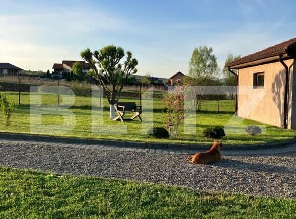 Casa de vânzare 4 camere Ceuasu de Câmpie - 150083CV | BLITZ Târgu Mureș | Poza22