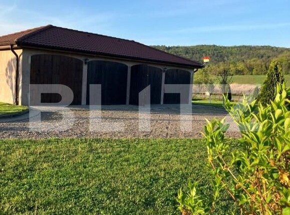 Casa de vânzare 4 camere Ceuasu de Câmpie - 150083CV | BLITZ Târgu Mureș | Poza21
