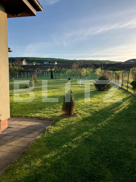 Casa de vânzare 4 camere Ceuasu de Câmpie - 150083CV | BLITZ Târgu Mureș | Poza24