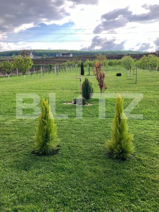 Casa de vânzare 4 camere Ceuasu de Câmpie - 150083CV | BLITZ Târgu Mureș | Poza23